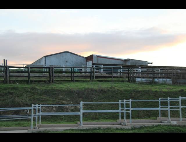 814HA FARM FOR SALE IN RIVERSDALE RURAL